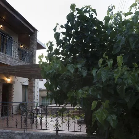 Hotel Elia Therissos Maisonettes 4*